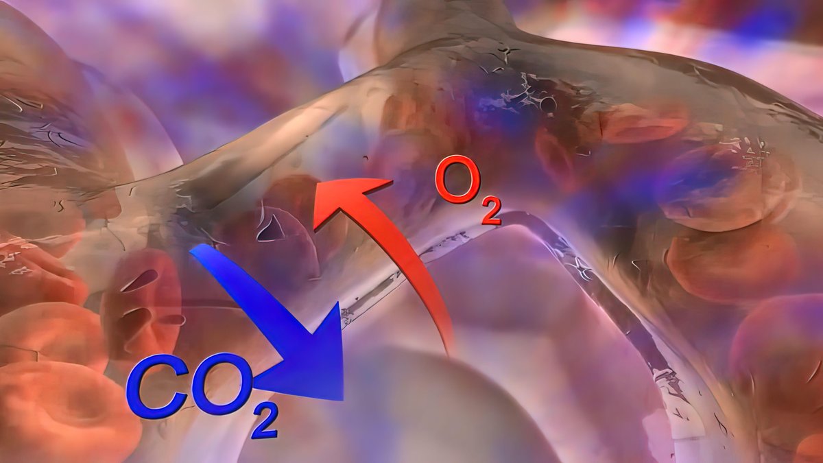 Gazométrie Artérielle
